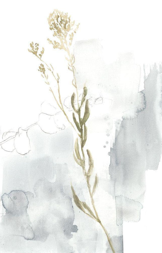 Image Only