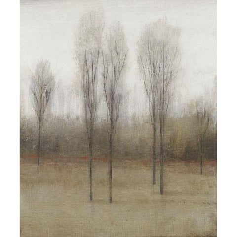 Last Day of Fall I Black Modern Wood Framed Art Print with Double Matting by OToole, Tim