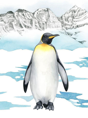 Arctic Animal I White Modern Wood Framed Art Print with Double Matting by Popp, Grace