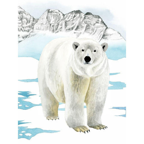 Arctic Animal II Gold Ornate Wood Framed Art Print with Double Matting by Popp, Grace