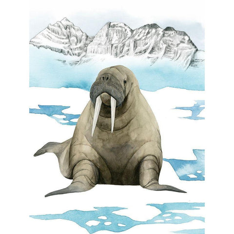 Arctic Animal III White Modern Wood Framed Art Print by Popp, Grace