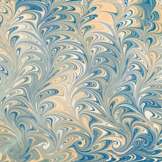Image Only