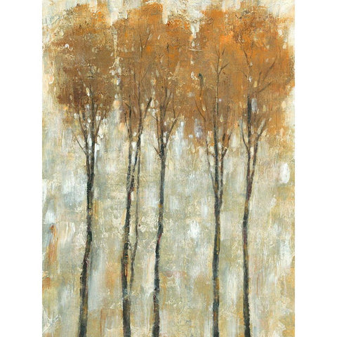 Standing Tall in Autumn II Black Modern Wood Framed Art Print with Double Matting by OToole, Tim