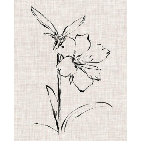 Floral Ink Study I Gold Ornate Wood Framed Art Print with Double Matting by Harper, Ethan