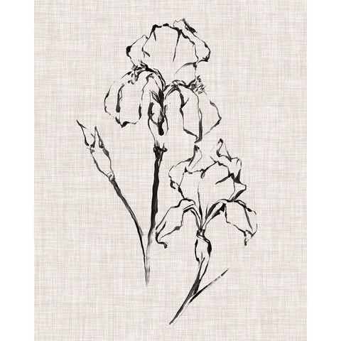 Floral Ink Study II White Modern Wood Framed Art Print by Harper, Ethan