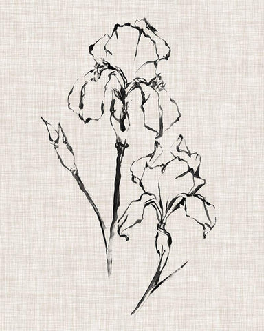 Floral Ink Study II White Modern Wood Framed Art Print with Double Matting by Harper, Ethan