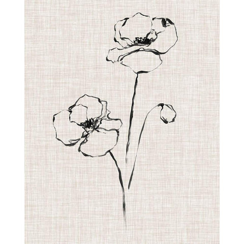 Floral Ink Study III Black Modern Wood Framed Art Print with Double Matting by Harper, Ethan