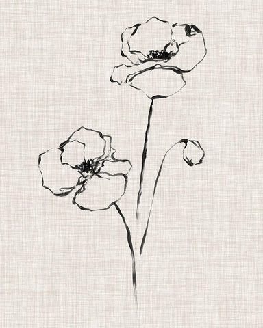 Floral Ink Study III White Modern Wood Framed Art Print with Double Matting by Harper, Ethan