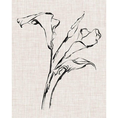 Floral Ink Study IV Black Modern Wood Framed Art Print with Double Matting by Harper, Ethan