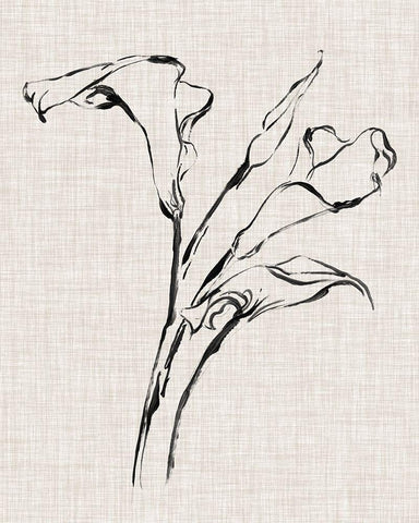 Floral Ink Study IV White Modern Wood Framed Art Print with Double Matting by Harper, Ethan