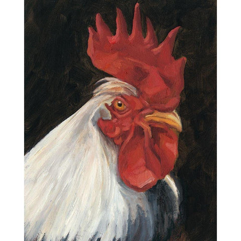 Rooster Portrait I Black Modern Wood Framed Art Print by Harper, Ethan