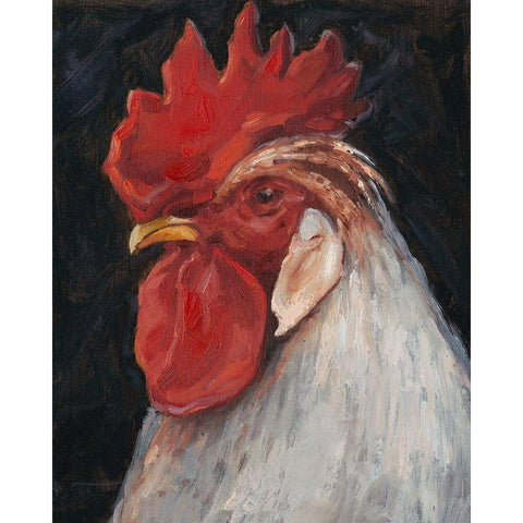 Rooster Portrait II White Modern Wood Framed Art Print by Harper, Ethan