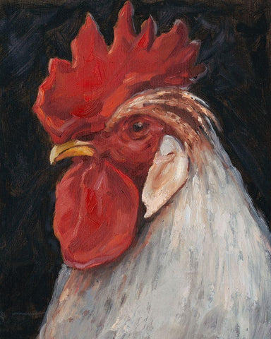 Rooster Portrait II White Modern Wood Framed Art Print with Double Matting by Harper, Ethan