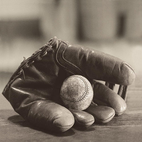 Baseball Nostalgia I Gold Ornate Wood Framed Art Print with Double Matting by Messer, Judy B.