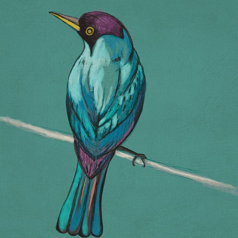 Winged Sketch I on Teal Gold Ornate Wood Framed Art Print with Double Matting by Zarris, Chariklia