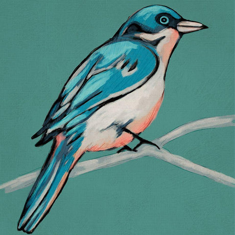 Winged Sketch IV on Teal Black Modern Wood Framed Art Print by Zarris, Chariklia