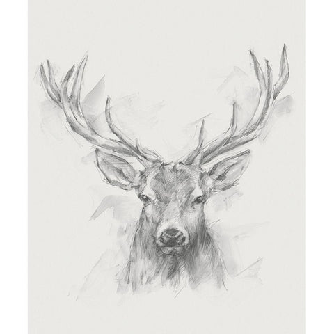 Contemporary Elk Sketch I Gold Ornate Wood Framed Art Print with Double Matting by Harper, Ethan