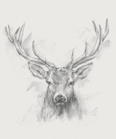 Contemporary Elk Sketch I Black Ornate Wood Framed Art Print with Double Matting by Harper, Ethan