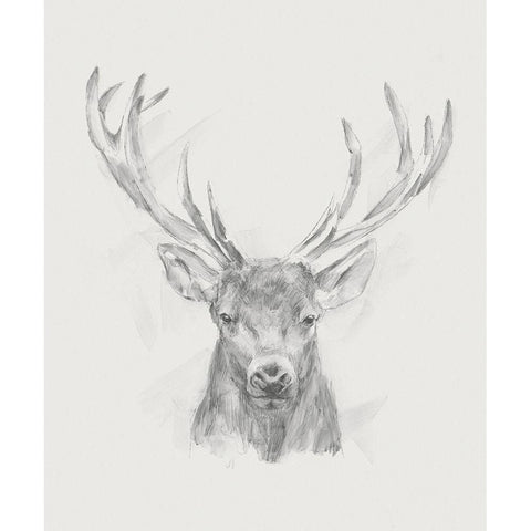 Contemporary Elk Sketch II Gold Ornate Wood Framed Art Print with Double Matting by Harper, Ethan