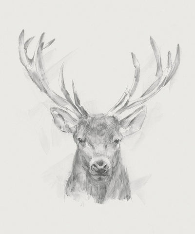 Contemporary Elk Sketch II Black Ornate Wood Framed Art Print with Double Matting by Harper, Ethan