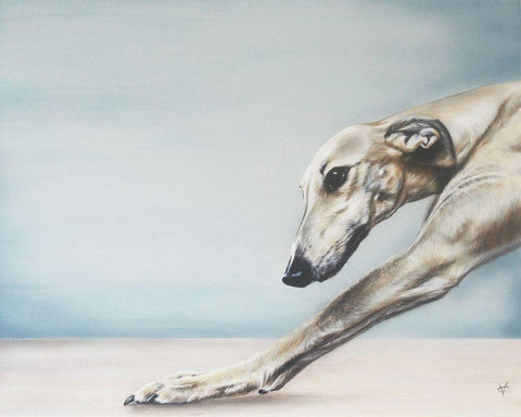 Down Dog White Modern Wood Framed Art Print with Double Matting by Coleman, Victoria