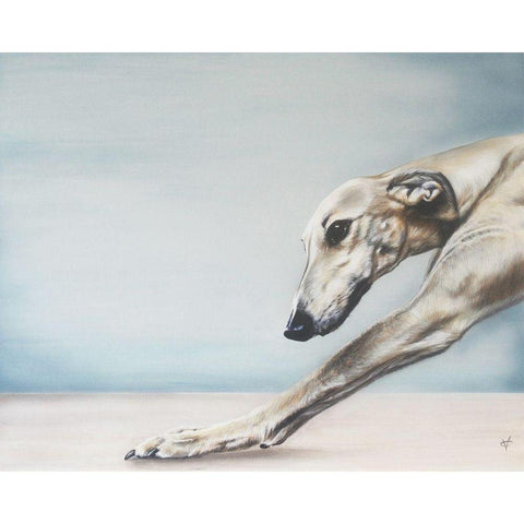 Down Dog White Modern Wood Framed Art Print by Coleman, Victoria