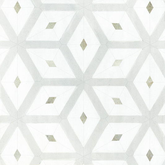 Image Only