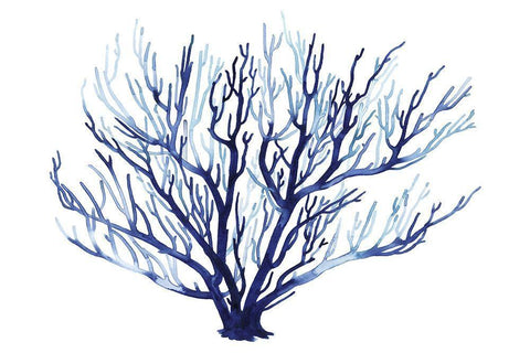 Azure Fan I Black Ornate Wood Framed Art Print with Double Matting by Popp, Grace