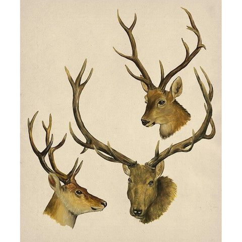 Wild World I Gold Ornate Wood Framed Art Print with Double Matting by Wang, Melissa