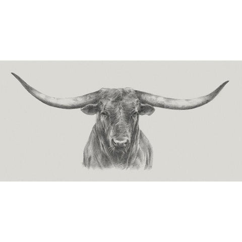 Longhorn Bull Black Modern Wood Framed Art Print with Double Matting by Harper, Ethan