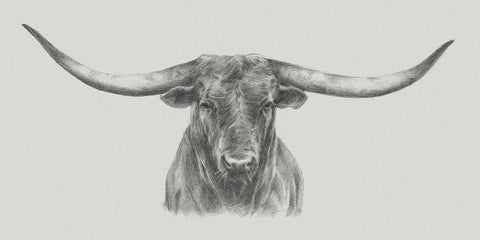 Longhorn Bull White Modern Wood Framed Art Print with Double Matting by Harper, Ethan