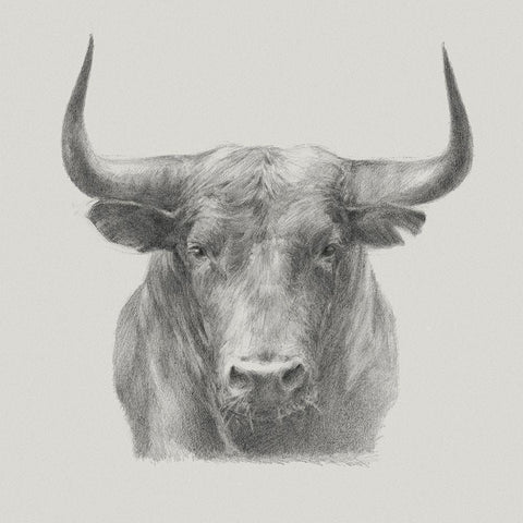 Black Bull Black Modern Wood Framed Art Print with Double Matting by Harper, Ethan