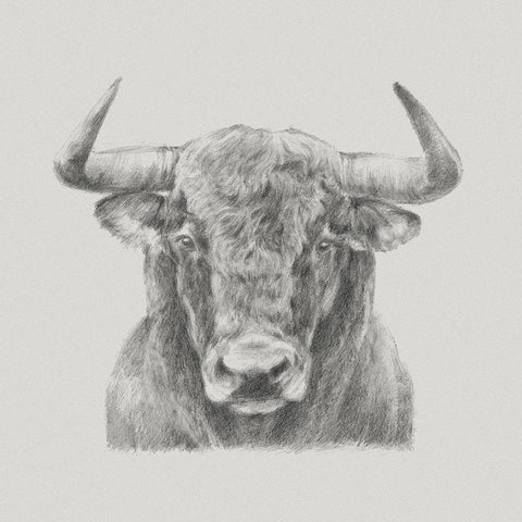 Black and White Bull White Modern Wood Framed Art Print with Double Matting by Harper, Ethan