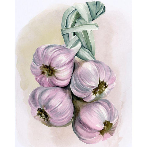 Garlic Braid I Black Modern Wood Framed Art Print with Double Matting by Parker, Jennifer Paxton