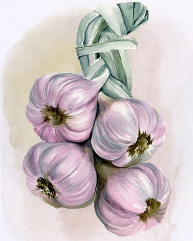 Garlic Braid I White Modern Wood Framed Art Print with Double Matting by Parker, Jennifer Paxton