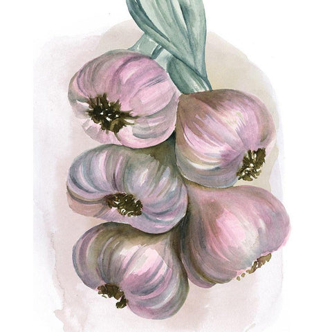 Garlic Braid II White Modern Wood Framed Art Print by Parker, Jennifer Paxton