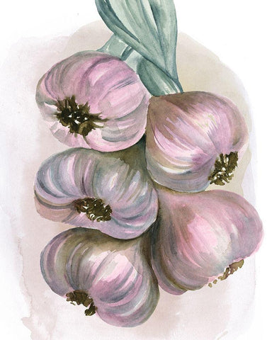 Garlic Braid II Black Ornate Wood Framed Art Print with Double Matting by Parker, Jennifer Paxton