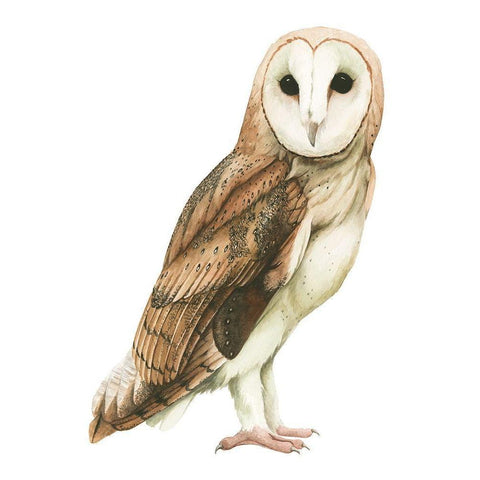 Alba I Black Modern Wood Framed Art Print by Popp, Grace