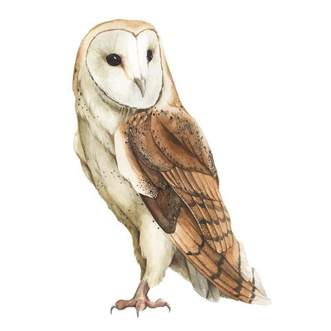 Alba II Black Modern Wood Framed Art Print by Popp, Grace