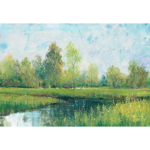 Tranquil Park I Black Modern Wood Framed Art Print by OToole, Tim