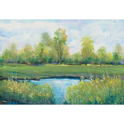 Tranquil Park II White Modern Wood Framed Art Print by OToole, Tim