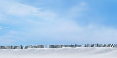 Beach Photography VI Black Ornate Wood Framed Art Print with Double Matting by McLoughlin, James