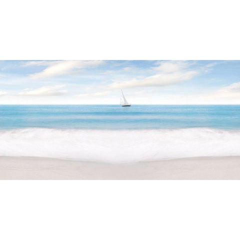 Beach Photography IX Gold Ornate Wood Framed Art Print with Double Matting by McLoughlin, James