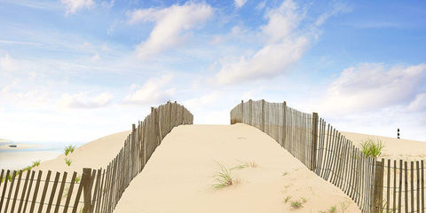 Beach Photography X Black Ornate Wood Framed Art Print with Double Matting by McLoughlin, James