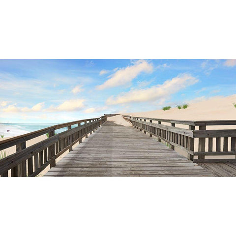 Beach Photography XI Gold Ornate Wood Framed Art Print with Double Matting by McLoughlin, James