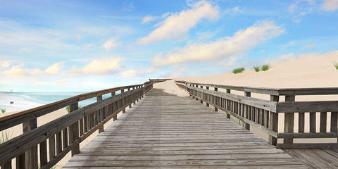 Beach Photography XI Black Ornate Wood Framed Art Print with Double Matting by McLoughlin, James