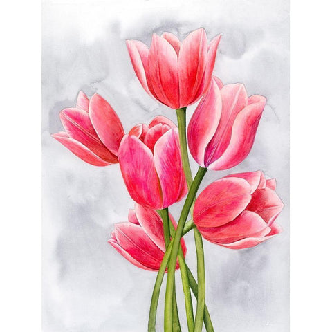 Tulip Tangle I Black Modern Wood Framed Art Print with Double Matting by Popp, Grace