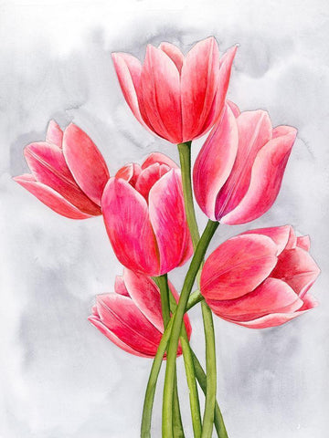 Tulip Tangle I White Modern Wood Framed Art Print with Double Matting by Popp, Grace