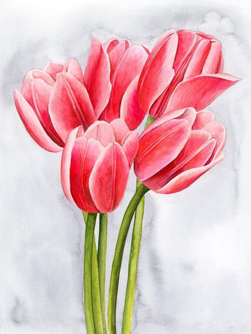 Tulip Tangle II White Modern Wood Framed Art Print with Double Matting by Popp, Grace