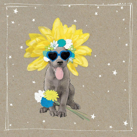 Fancypants Wacky Dogs VI White Modern Wood Framed Art Print with Double Matting by Gower, Hammond